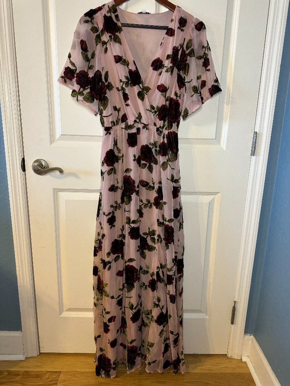 Baltic Born Velvet Burnout Parisian Maxi Dress